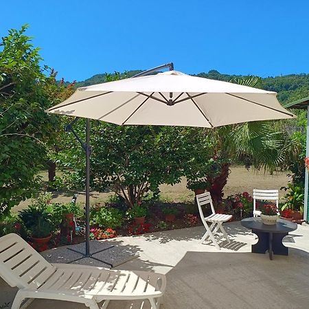 Villa Sunny House à Carasco Extérieur photo