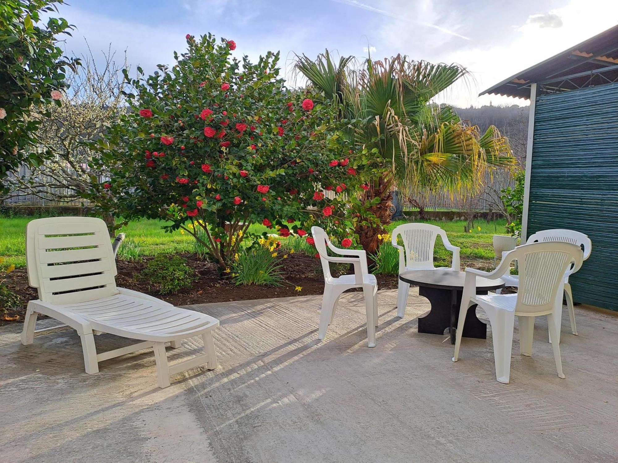 Villa Sunny House à Carasco Extérieur photo