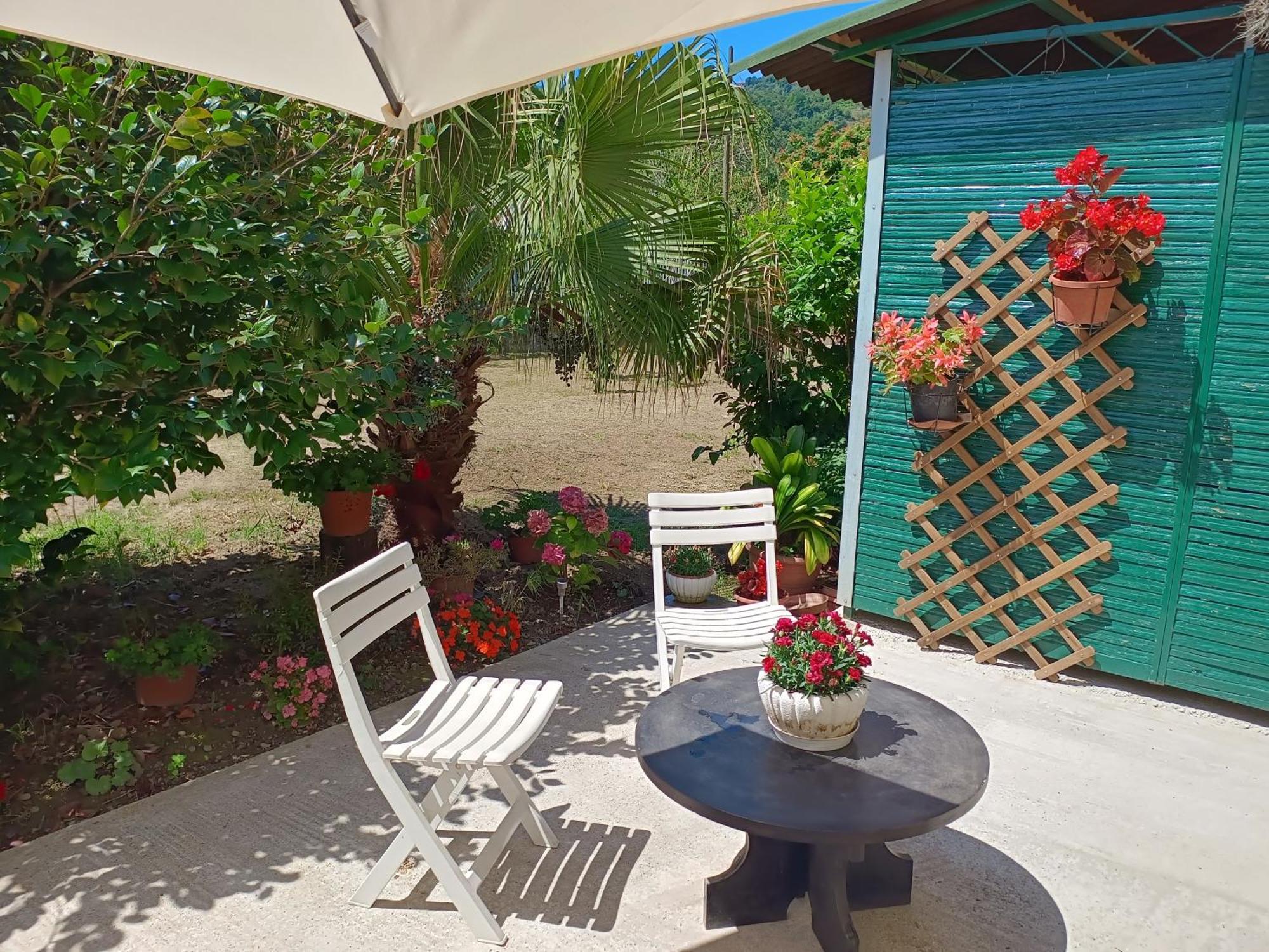 Villa Sunny House à Carasco Extérieur photo